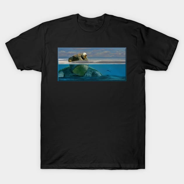 The Tortuga T-Shirt by rgerhard